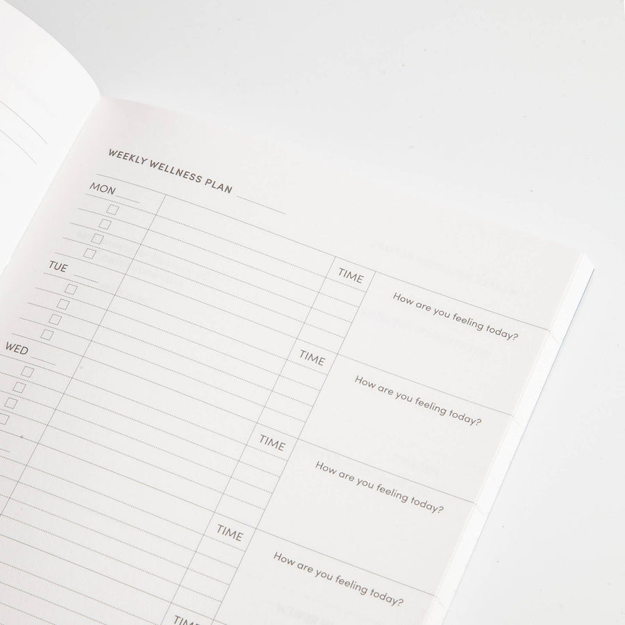 The 12-Month Self Planner