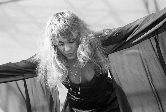 Why Stevie Nicks Is Totally An Example Of Career Goals